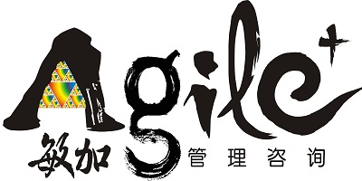 Agile Plus Management Consultants (Shanghai) logo