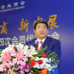 Airen Lu (Vice President and Secretary General at Guangxi Chamber of Commerce in Beijing)