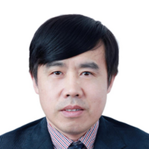 Li Gang (Deputy Director of the Center for Chinese Think Tank Research and Assessment at Nanjing University)