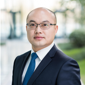 程欣 (京东方科技股份有限公司 副总裁)