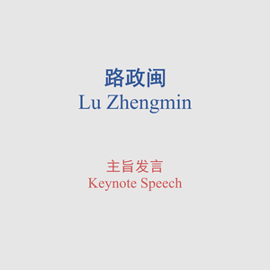 路政闵 (全国打击侵权假冒工作领导小组办公室副主任、国家市场监督管理总局执法稽查局副局长（正司级）)