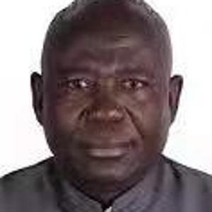 M.S Babansoro (Assistant Comptroller of Immigration at Embassy of the Federal Republic of Nigeria, Beijing China)