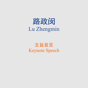 Lu Zhengmin (Deputy Director General of the National Leading Group on the Fight against IPR Infringement and Counterfeiting, Deputy Director General of the Department of Law Enforcement and Inspection, State Administration for Market Regulation (DG Level))