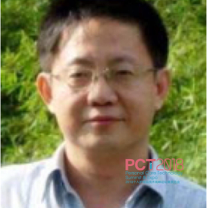 Liang Xu (Professor at Beijing Daily Chemical Research Institute)