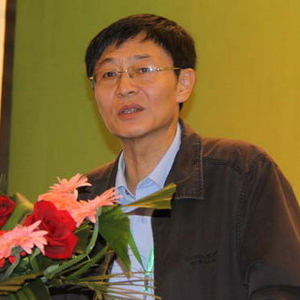 Anli Wei (Deputy secretary general at China Internal Combustion Engine Industry Association)