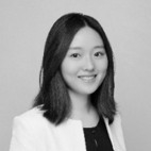 Jingwen Tong (Consultant at Sinolytics)
