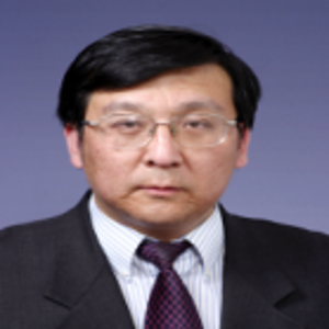 Liming Li (Judge at Vice director of Shenyang Area of China （Liaoning）Pilot Free Trade Zone)