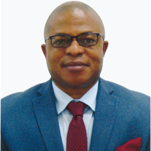 Hon. Anderson Madubike (Consul-General Nigeria at Federal Republic of Nigeria)