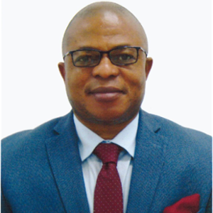 Hon. Anderson Madubike (Consul-General Nigeria at Federal Republic of Nigeria) Hon. Anderson Madubike (Consul-General Nigeria at Federal Republic of Nigeria)