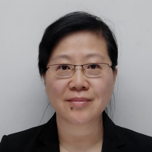 Jinghui Wang (Head of the Discipline of Comparative Literature and Cultural Studies at Tsinghua University)