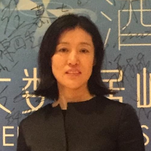 王敏敏 (北京中长石基信息技术股份有限公司 副总裁)