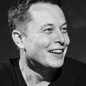 Elon Musk (CEO of Tesla)