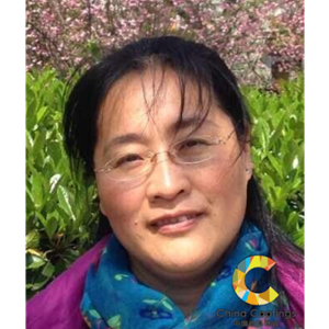 Naihong Yang (Industry Manager at DSM Coating Resins)