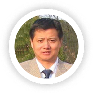 Xiangyu JIN (Inviting) (Professor at Donghua University)