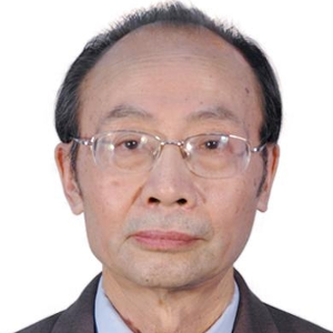 陈国民 (郑州机械研究所 教授/总工)