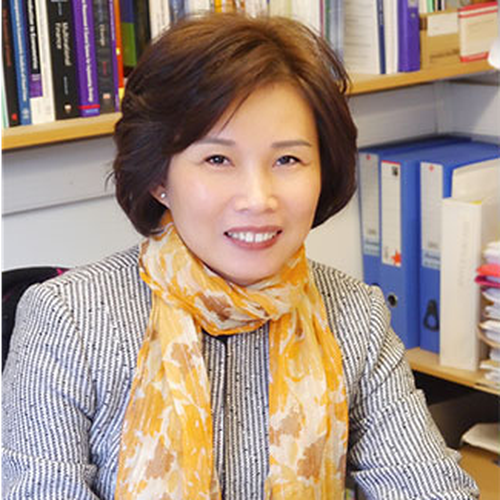 Xiaolan FU (Professor and Founding Director of the Technology and Management Center for Development,  University of Oxford)