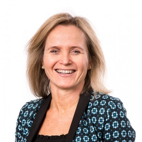 Professor Sharon Lewin AO, FRACP, PhD, FAHMS (Director of Peter Doherty Institute for Infection and Immunity)