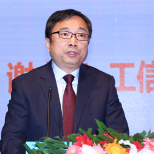 谢少锋（拟邀） (工信部信息化和软件服务业司司长)